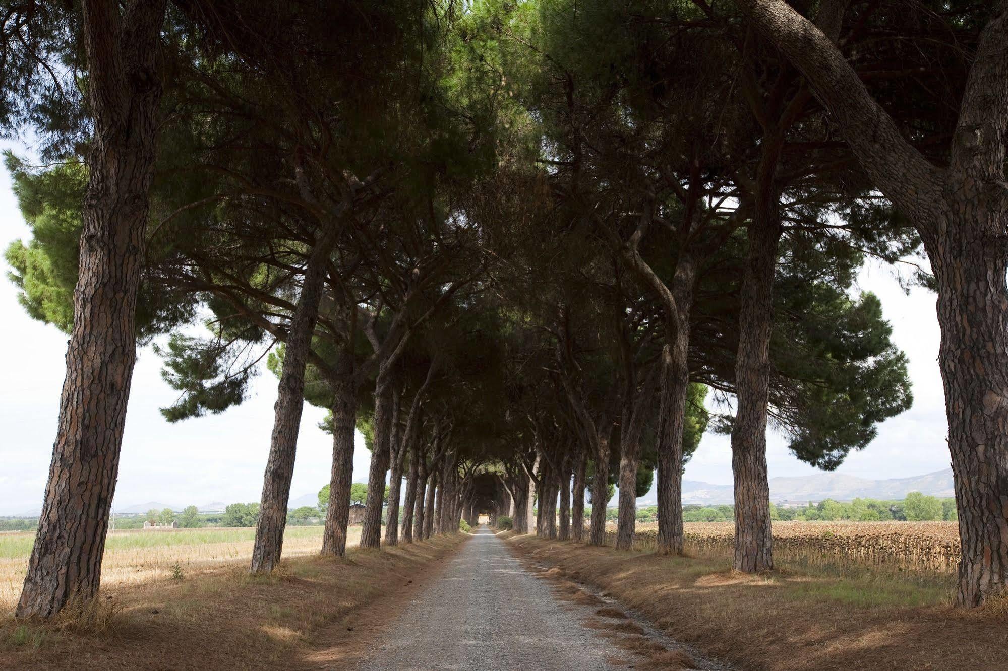 Agriturismo Pantano Borghese Monte Compatri Extérieur photo